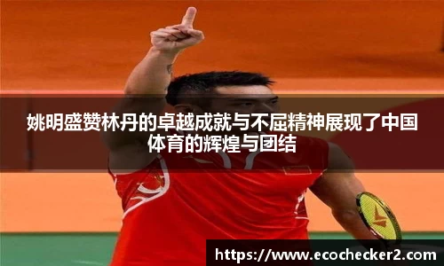 姚明盛赞林丹的卓越成就与不屈精神展现了中国体育的辉煌与团结