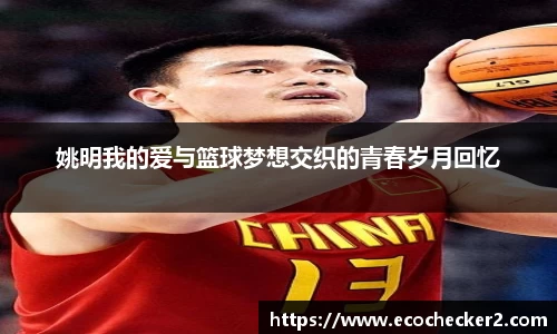 姚明我的爱与篮球梦想交织的青春岁月回忆