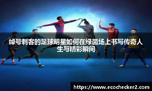 绰号刺客的足球明星如何在绿茵场上书写传奇人生与精彩瞬间