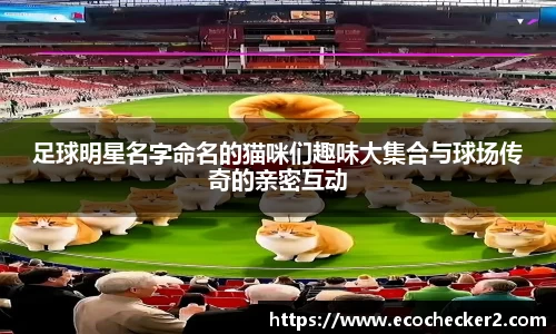 足球明星名字命名的猫咪们趣味大集合与球场传奇的亲密互动