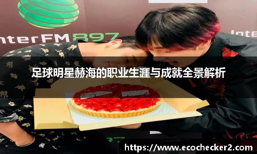足球明星赫海的职业生涯与成就全景解析