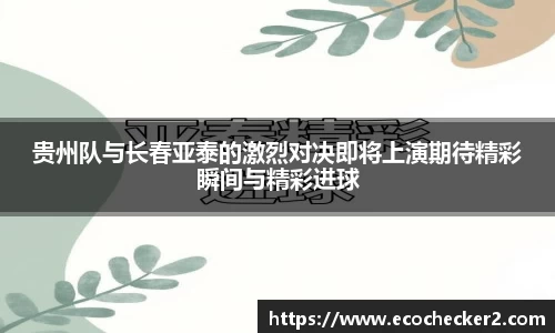 贵州队与长春亚泰的激烈对决即将上演期待精彩瞬间与精彩进球